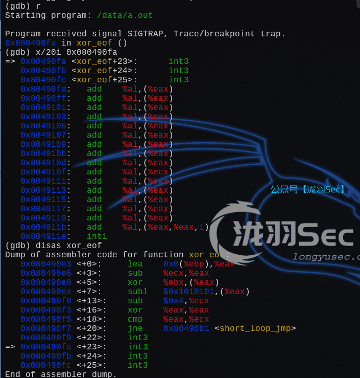 image-20250107194312916