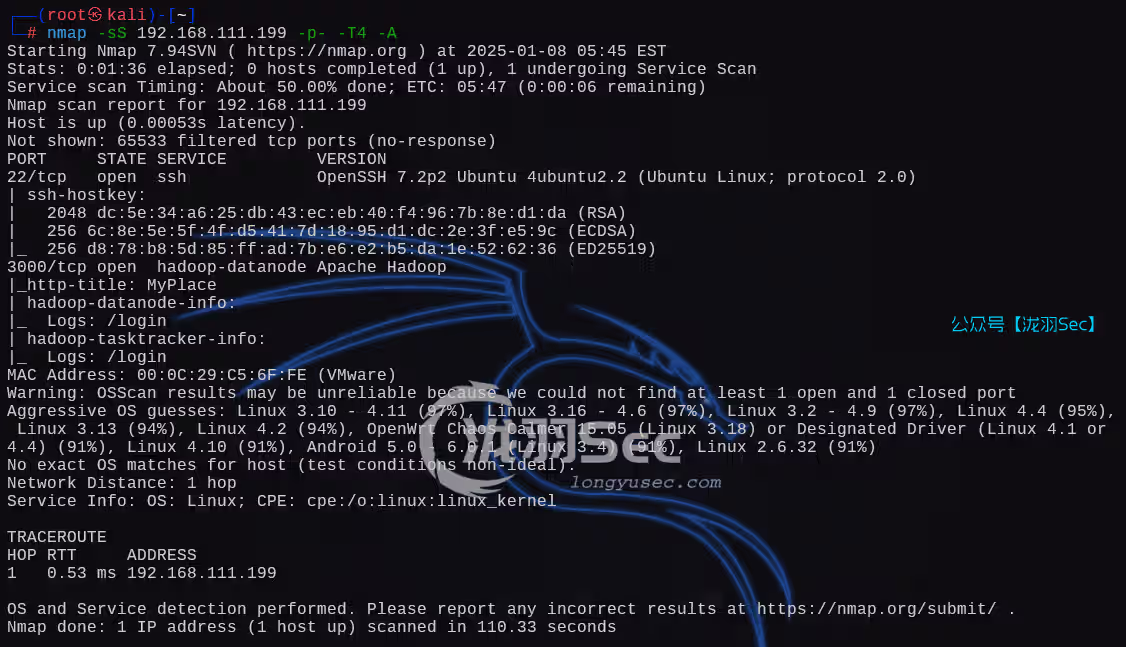 image-20250108184757573