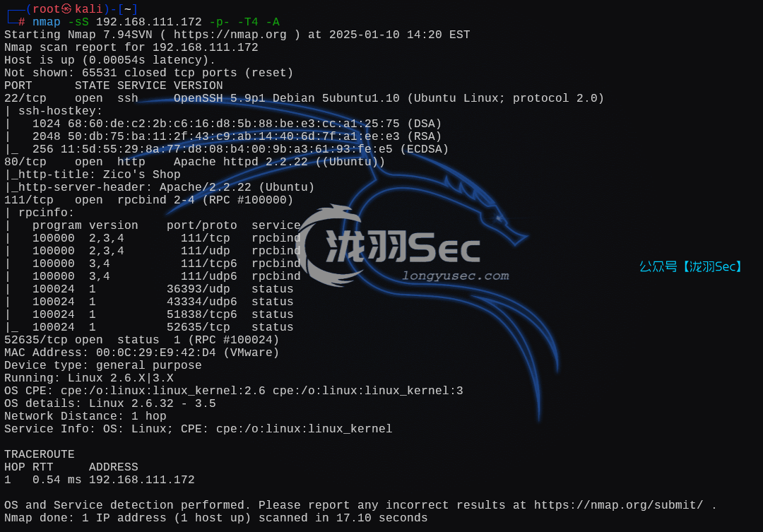 image-20250111032209096