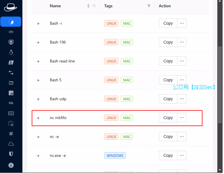 image-20250111040633381