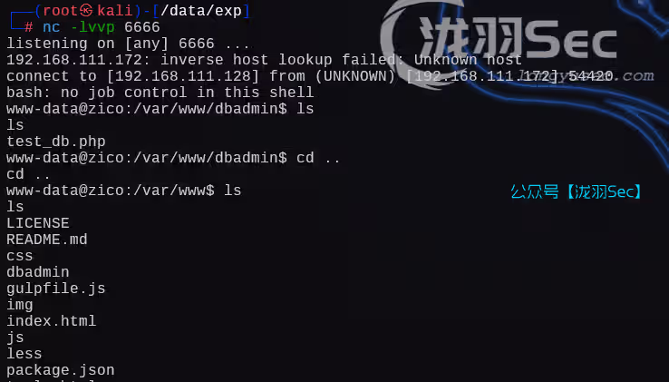 image-20250111040655540