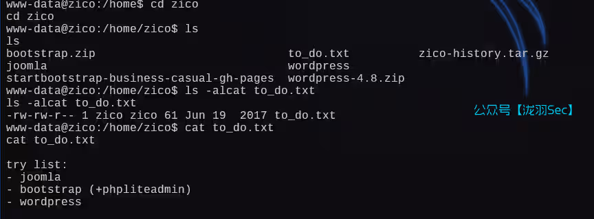 image-20250111041946642