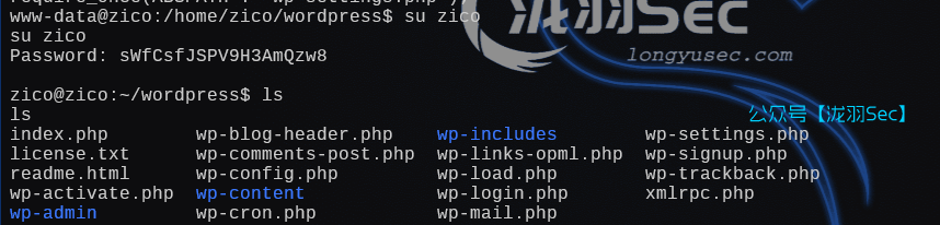 image-20250111042712370