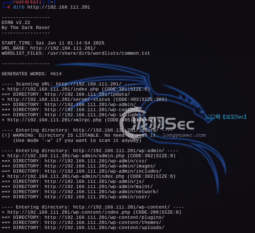 image-20250111141523052