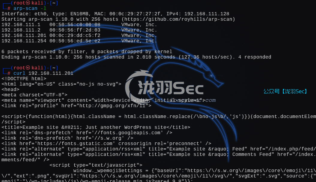 WEBDEVELOPER，tcpdump提权-泷羽Sec