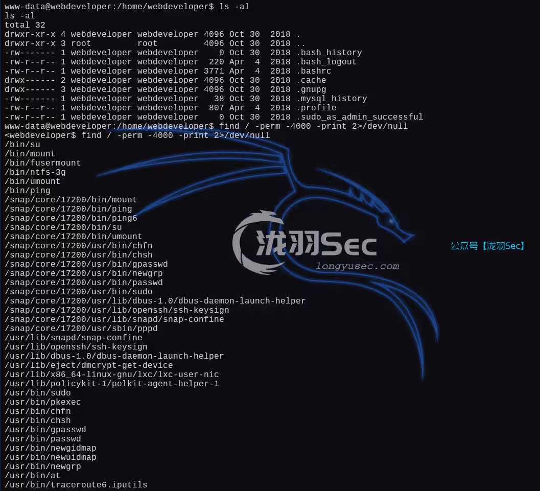 image-20250111191940327