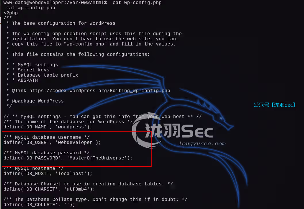 image-20250111192534237