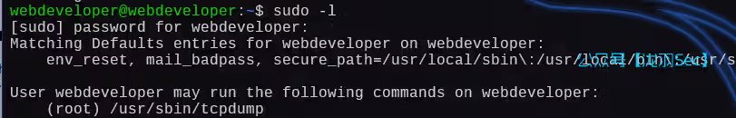 image-20250111193515296