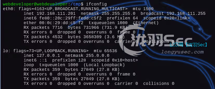 image-20250111200919326