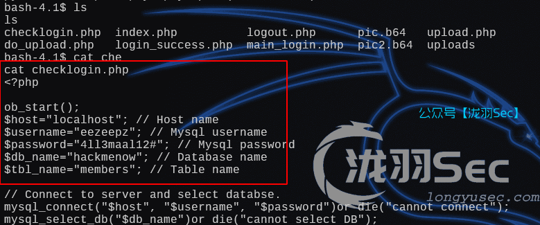 image-20250113202818847