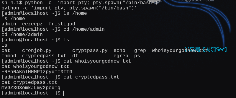 image-20250115011134812