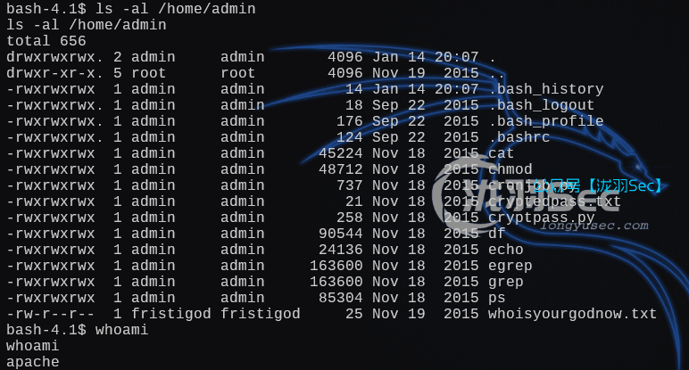 image-20250115045718237