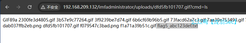 image-20250117184523203