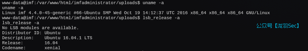 image-20250117194310282