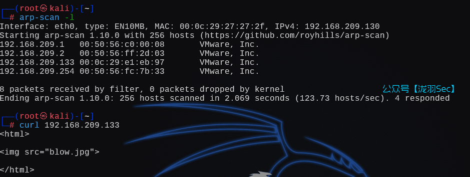 image-20250119150500029