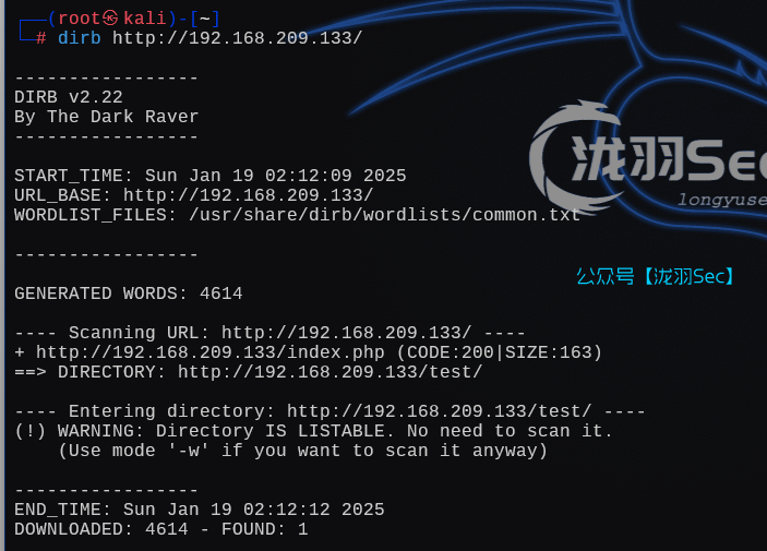 image-20250119151240186