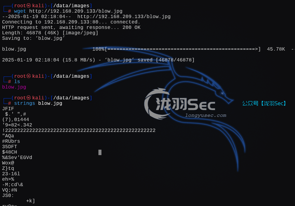 image-20250119151913473