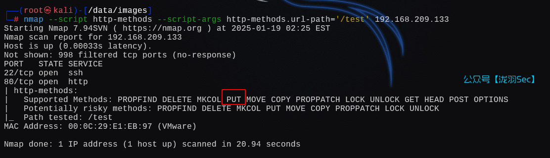 image-20250119152715071