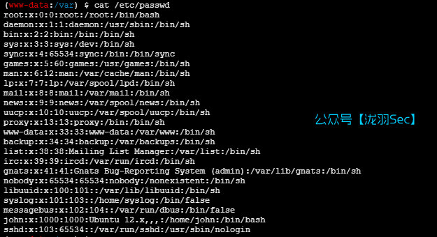 image-20250120160737933