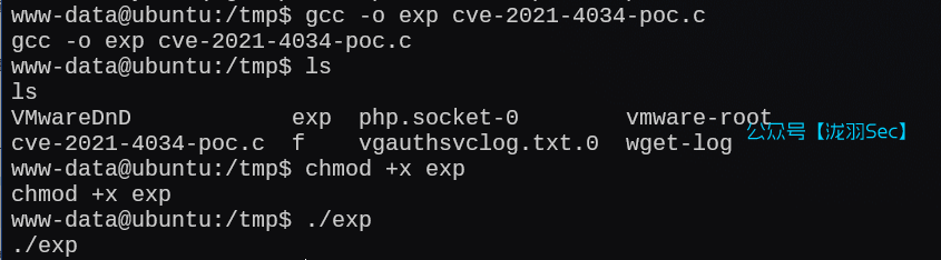 image-20250121005123010