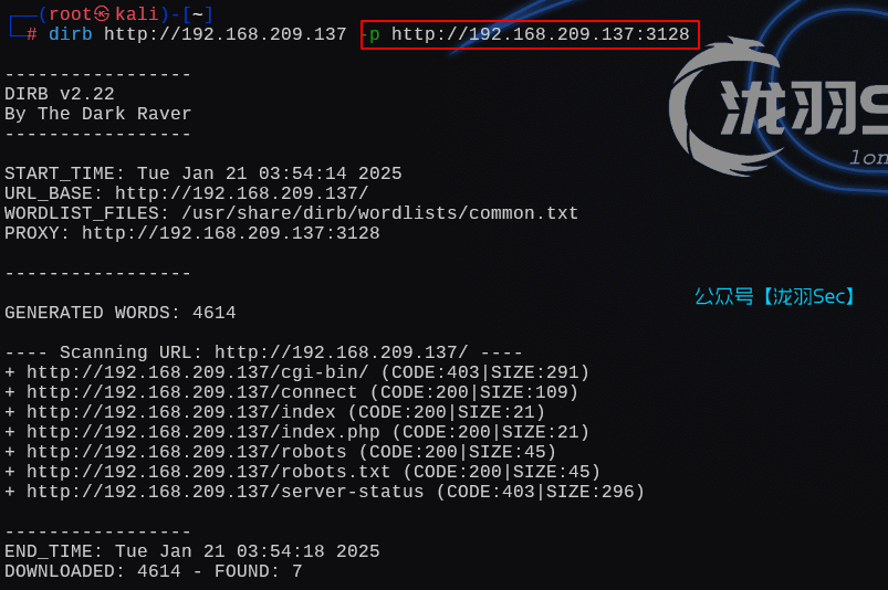 image-20250121165819982