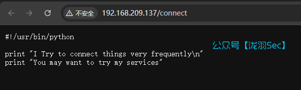 image-20250121170344575