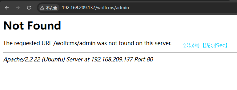 image-20250121174716034