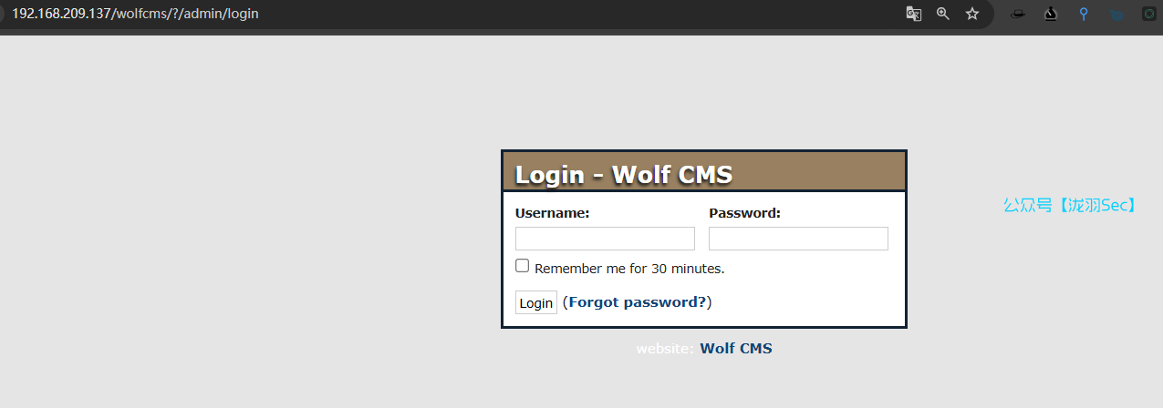 image-20250121174734182