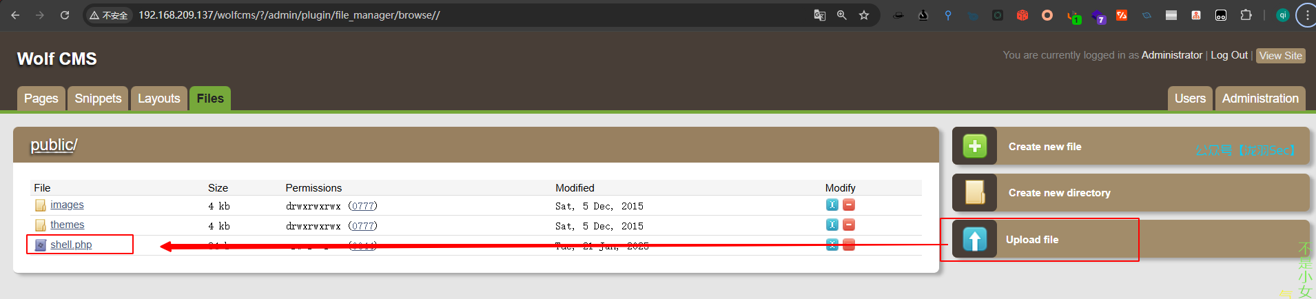 image-20250121181027239