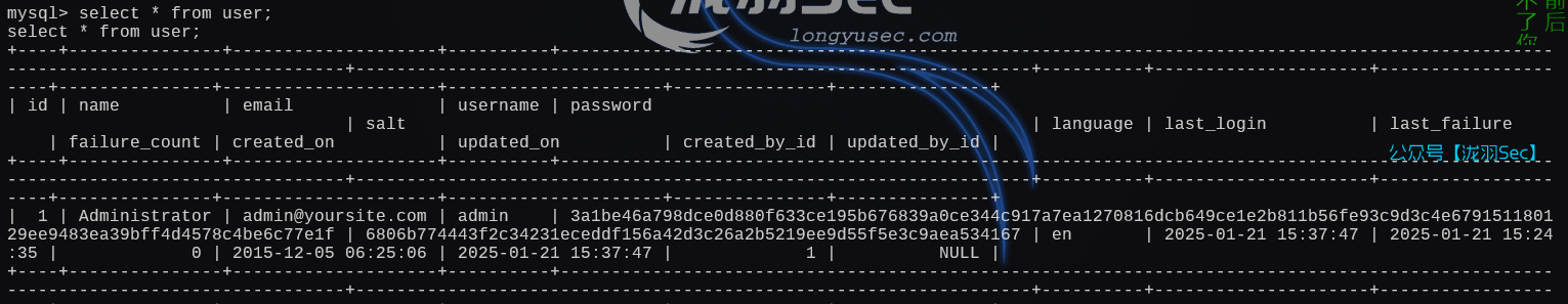 image-20250121182251138