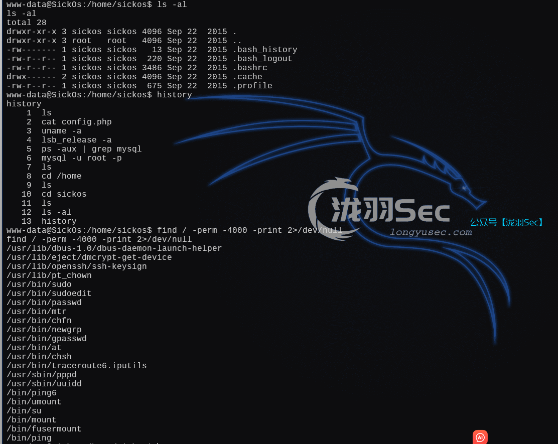 image-20250121182426084