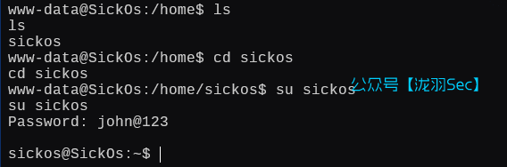 image-20250121183201662