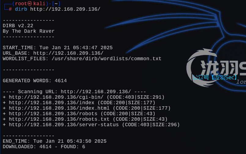 image-20250121184903626