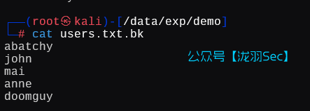 image-20250121185511101