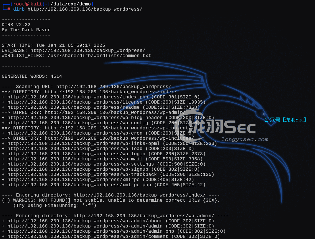 image-20250121185947075