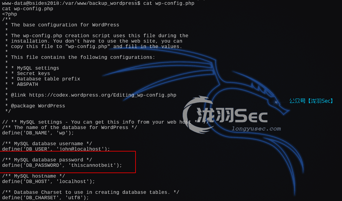 image-20250121193250255