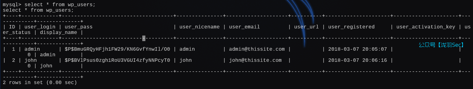 image-20250121193633287