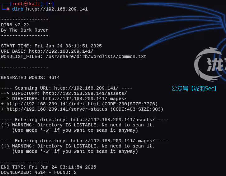 image-20250124161223187