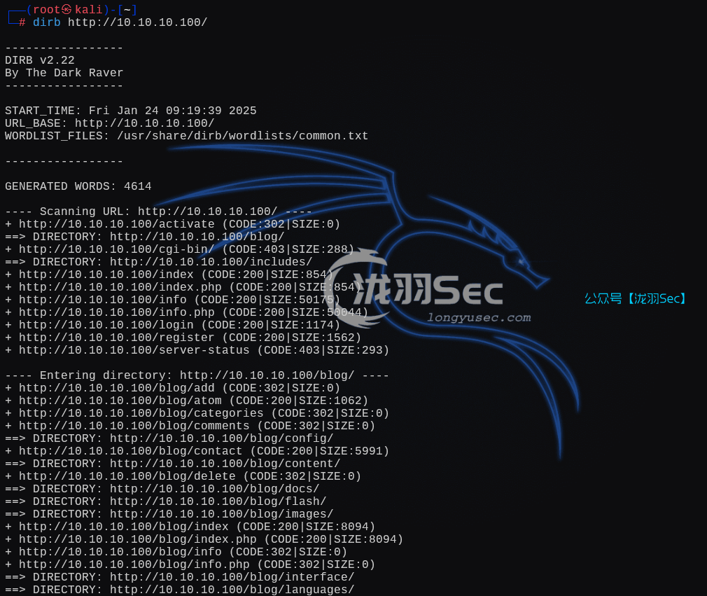 image-20250124221959035