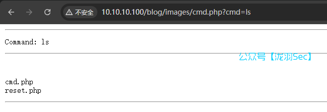 image-20250125150346841